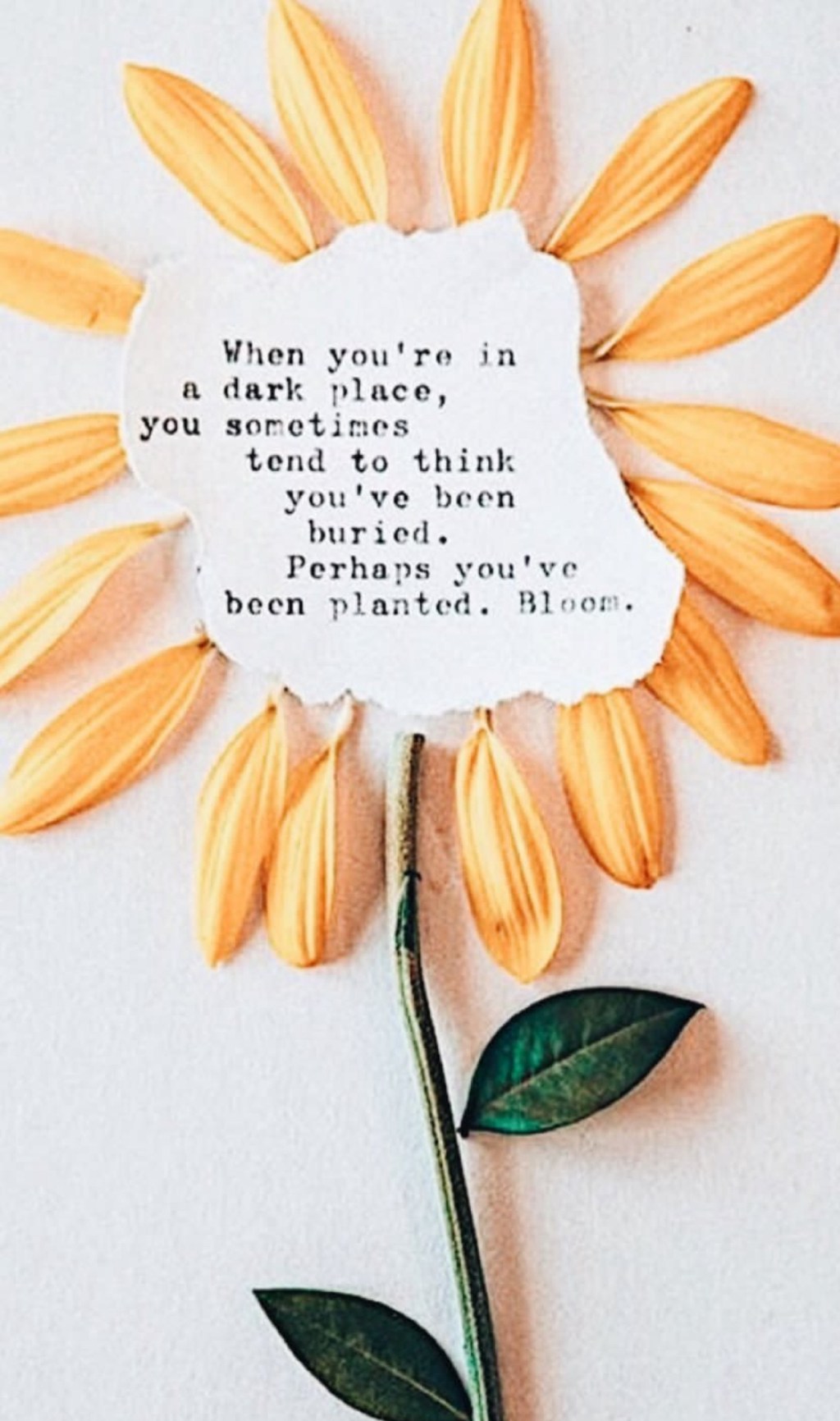 Life After Graduating College