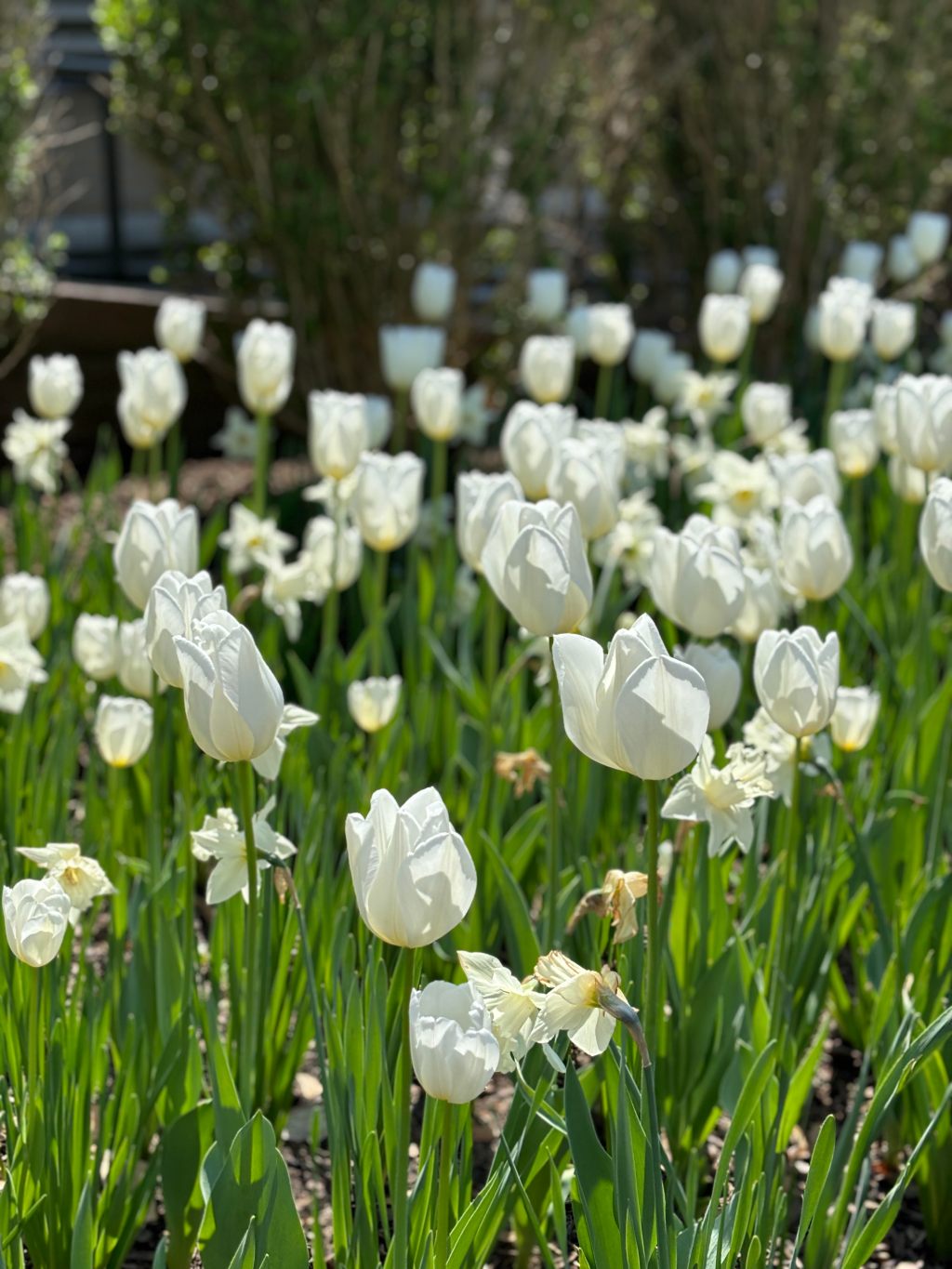 Benefits of Living a Quiet Life